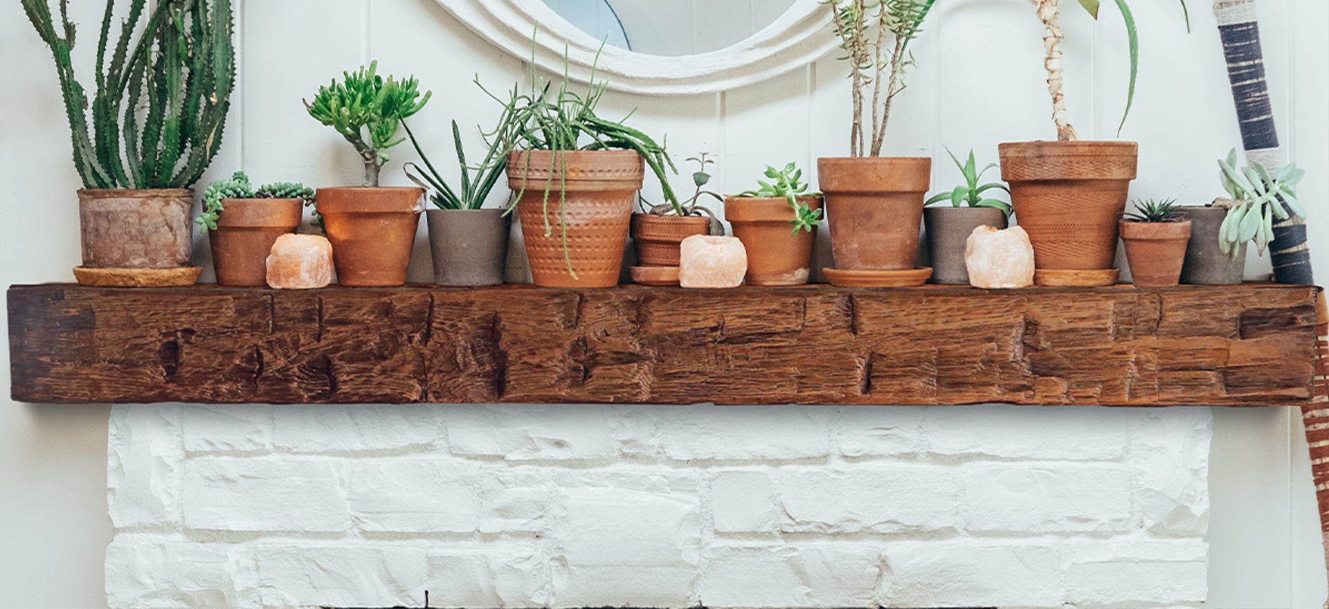 mantel on a fireplace that has a bunch of plants on top 